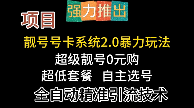 手机靓号2.0暴力项目及引流技术教程